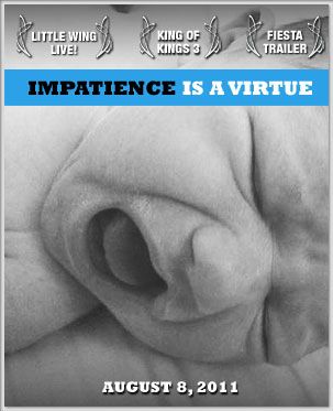Have patience! This is most of what of us hear. Well, while patience is good for some things.  There are just some things where Impatience can be just as important. Like, who needs patience when there are videos to watch. Smoothly and without interruption. Time to rev up your SPEEDbit Video Accelerator, sit back and enjoy this week's trending videos: