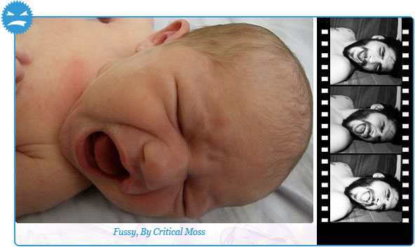 SPEEDbit Video Accelerator lets you know what is going viral before it does