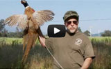 Official Ojai Valley Taxidermy TV Commercial