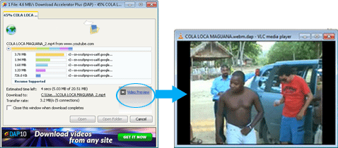 Download Accelerator Plus (DAP) - Video Preview Screenshot