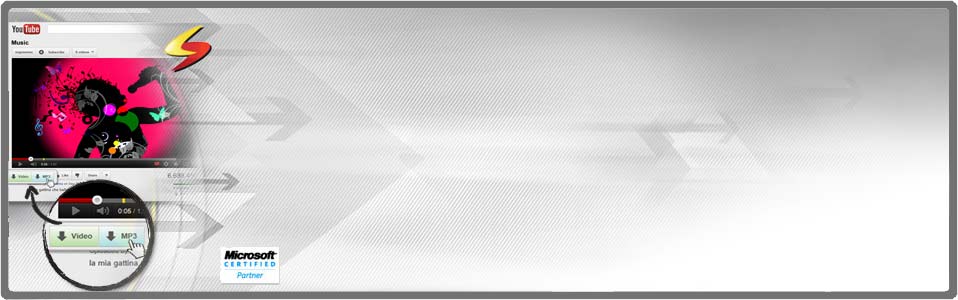 Download Accelerator Plus (DAP) panel