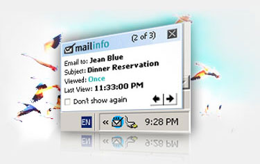 Mailinfo Real Time Notification screenshot