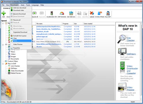 Download Accelerator Plus (DAP) main panel - Downloads menu - Force Download screenshot
