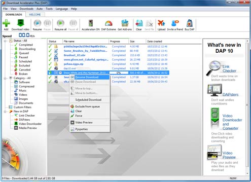 Download Accelerator Plus (DAP) main panel - Resume Download option screenshot