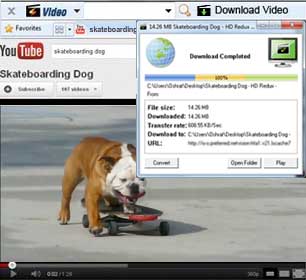 FREE One Click Video Download